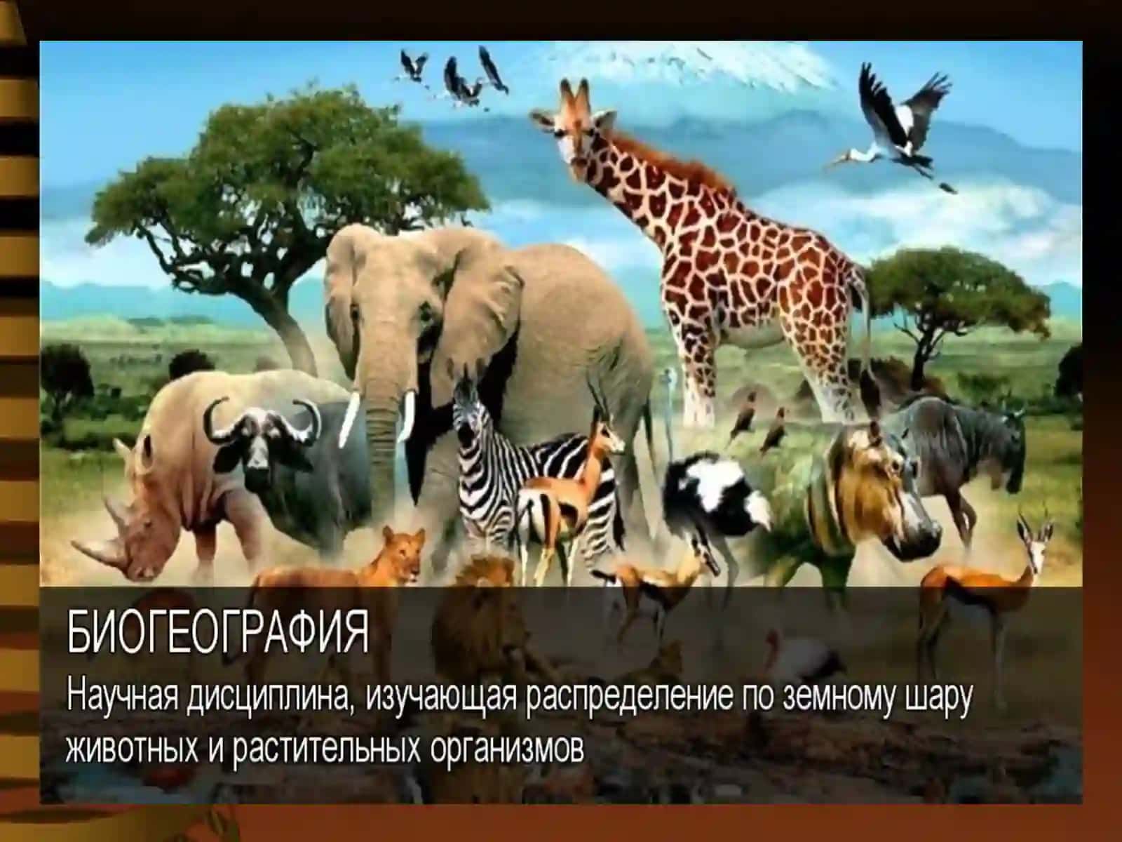 Биогеография ва экология асослари 3