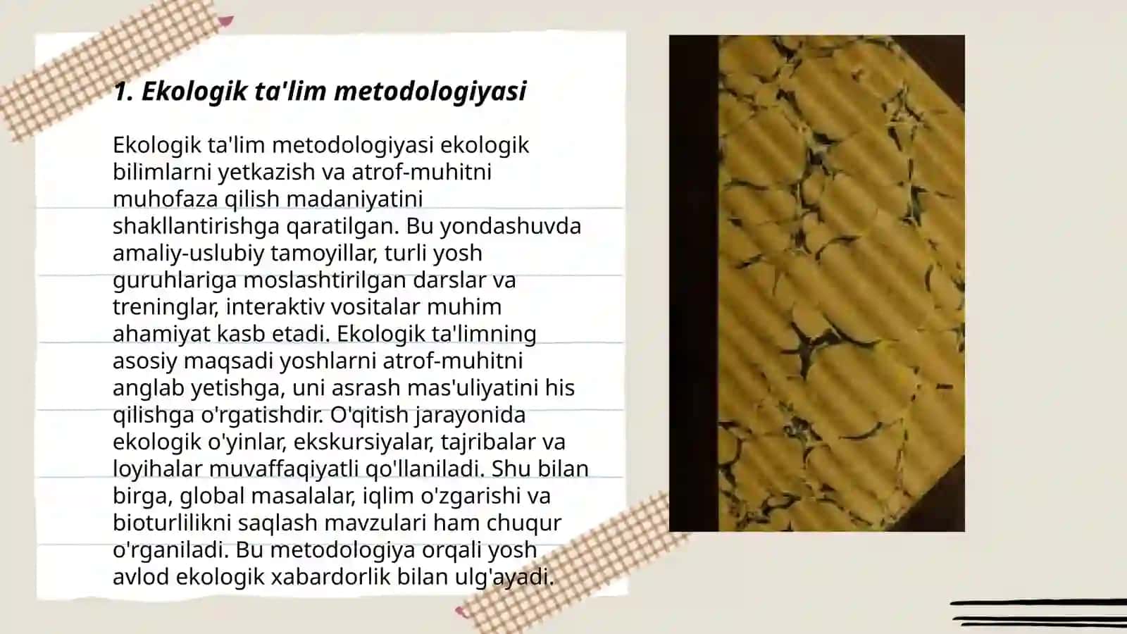 Ekologik ta'lim metodologiyasi 3