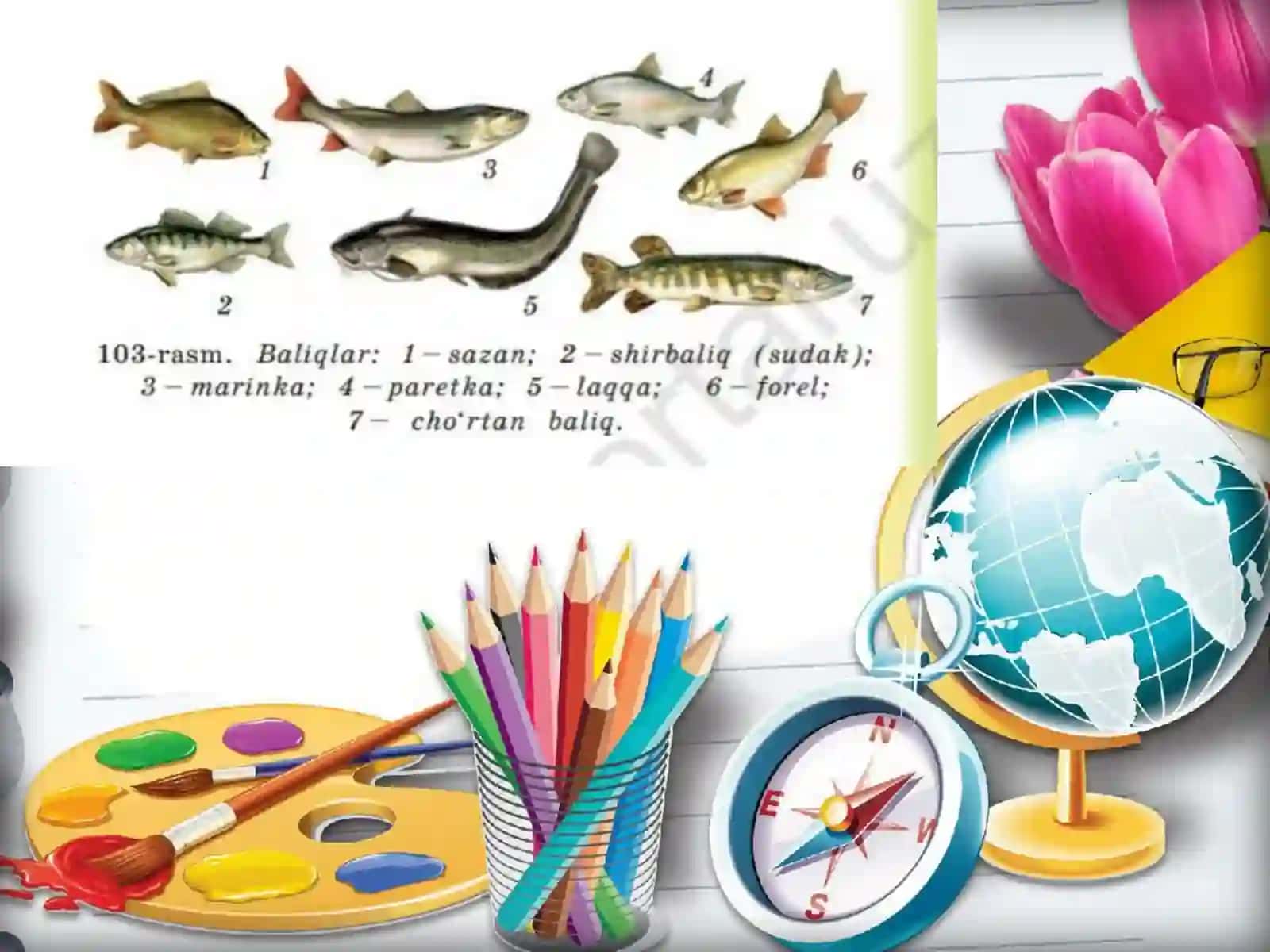 3-sinf Tabiiy Fan (Science) Suvda yashaydigan hayvonlar dars ishlanma 3