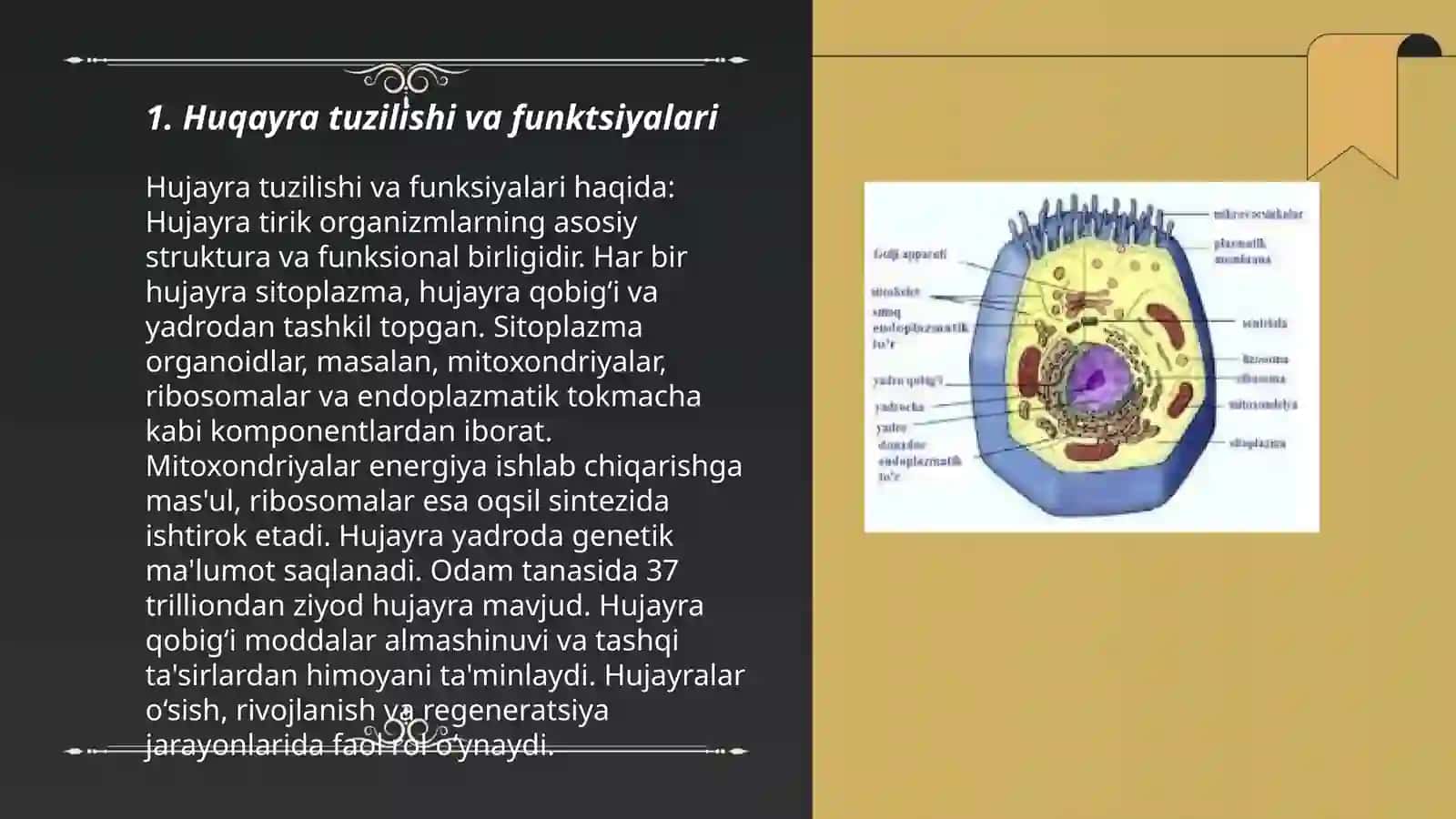 Hujayra biologiyasi.Hayot vairsiyatning molecular asoslari 3