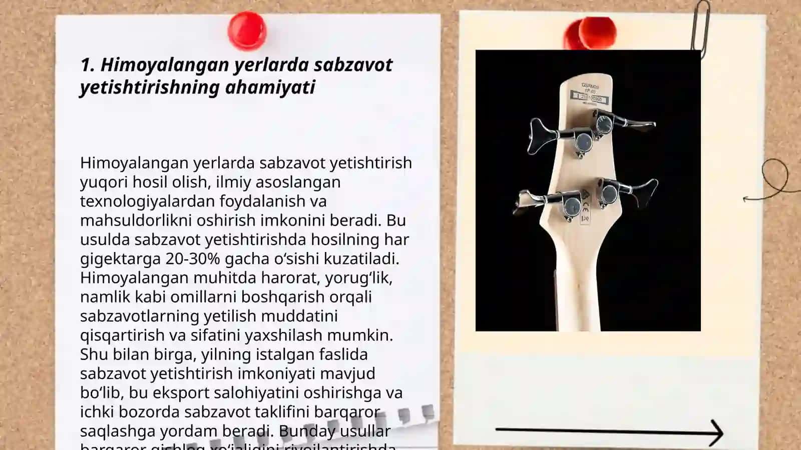 Himoyalangan yerlarda sabzavotlarga makro va mikro o'g'itlarni qo'llash 3