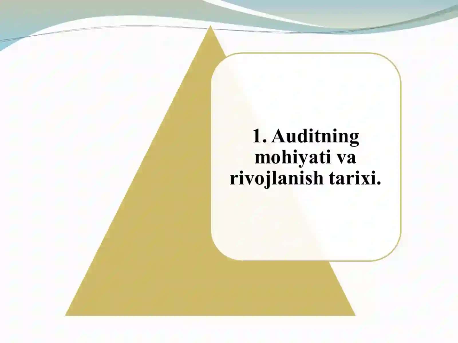 AUDITGA UMUMIY TAVSIF 3