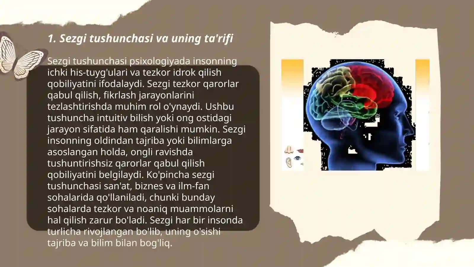 Sezgilar haqida umumiy tushuncha va uning nerv fiziologik asoslari 3