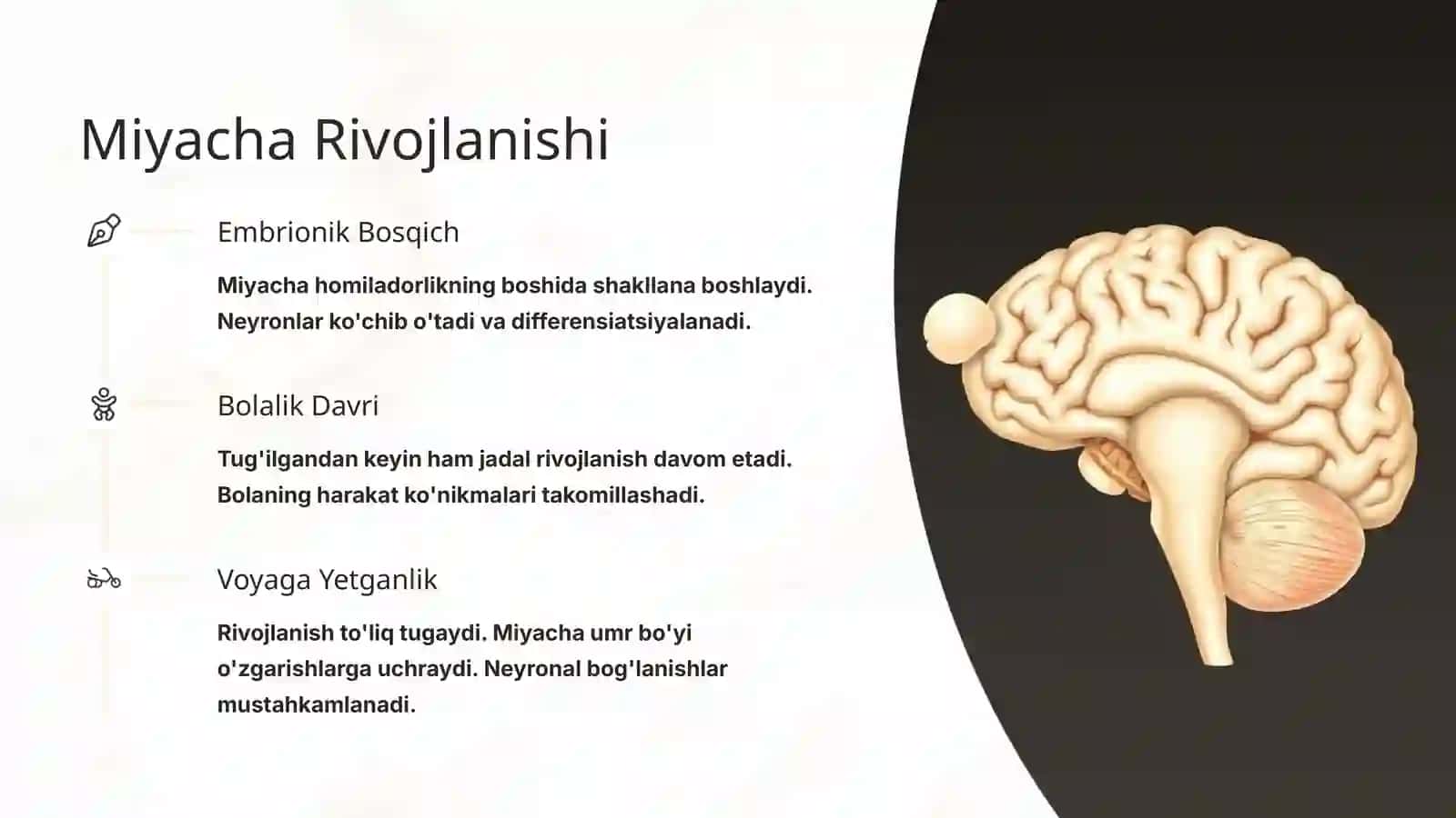 Miyacha Fiziologiyasi 3