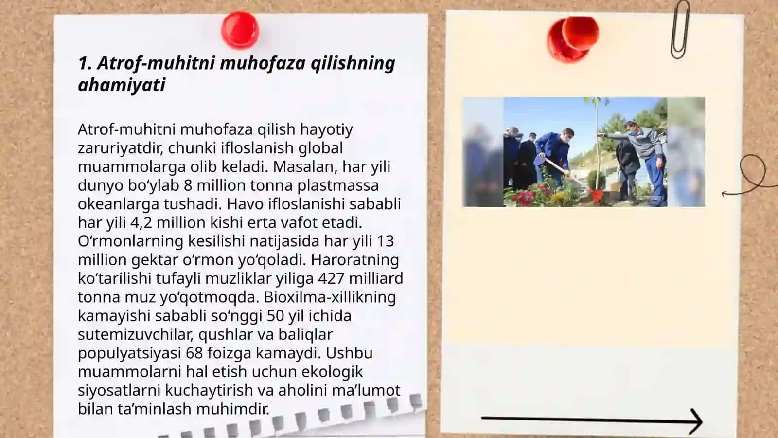 Atrof muhitni asrash va yashil makonga aylantirish 3