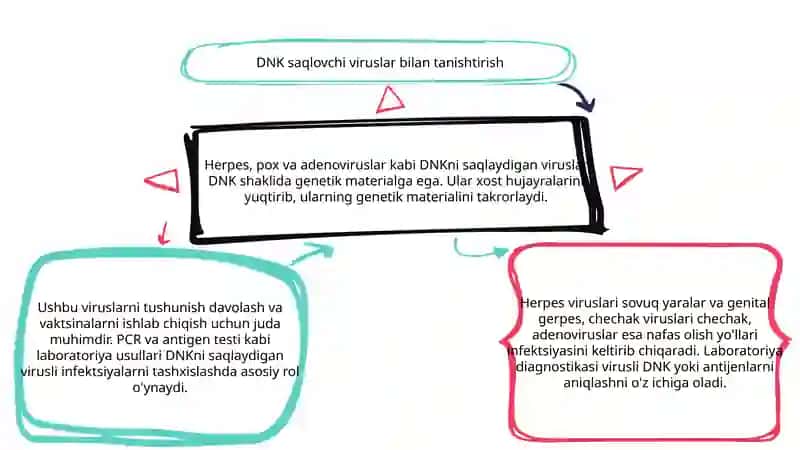 Viruslarga va o'smalarga qarshi dori vositalarning ta'sir mexanizmi (DNK, RNK fermentlariga nisbatan) 3