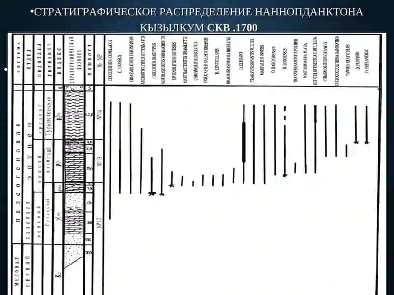 Стратиграфиянинг асосий қоидалари 3