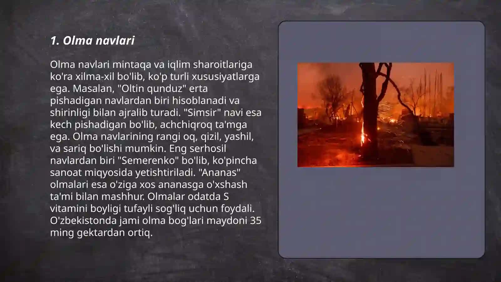 Olma navlari 3