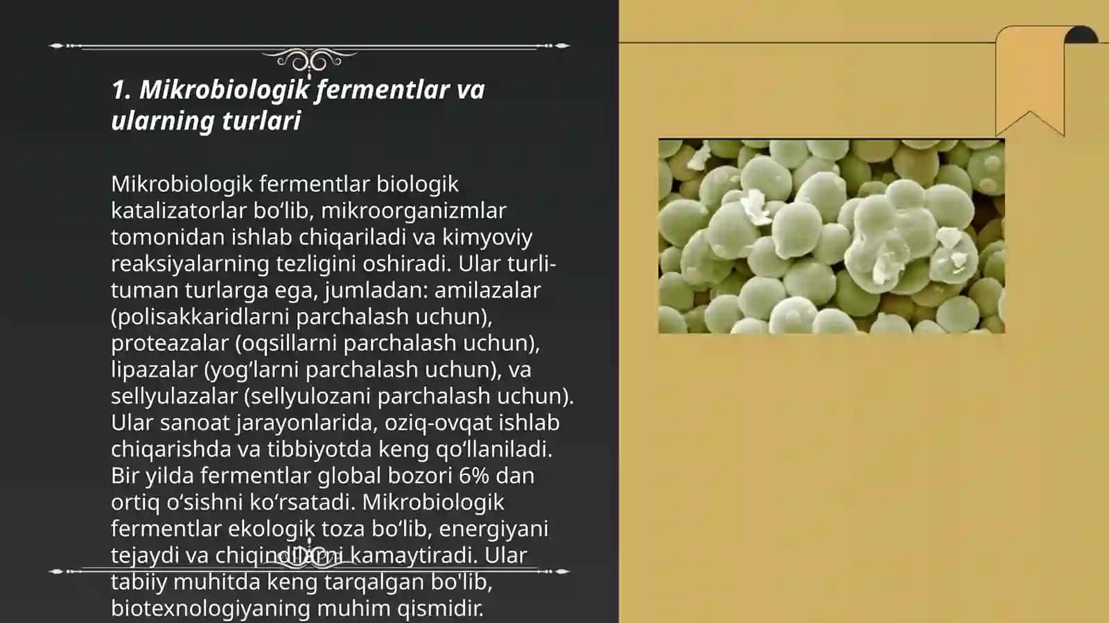Mikroorganizmlardan olinadigan fermentlar 3