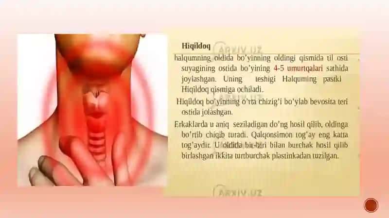 Burunbo’shlig’ivaHiqildoq.Ularningyoshgaqarabo’zgarishi 3