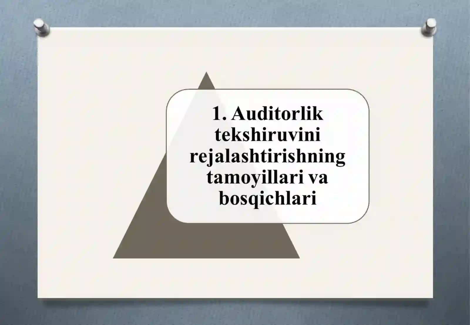 Audit tekshiruvini hujjatlashtirish 3