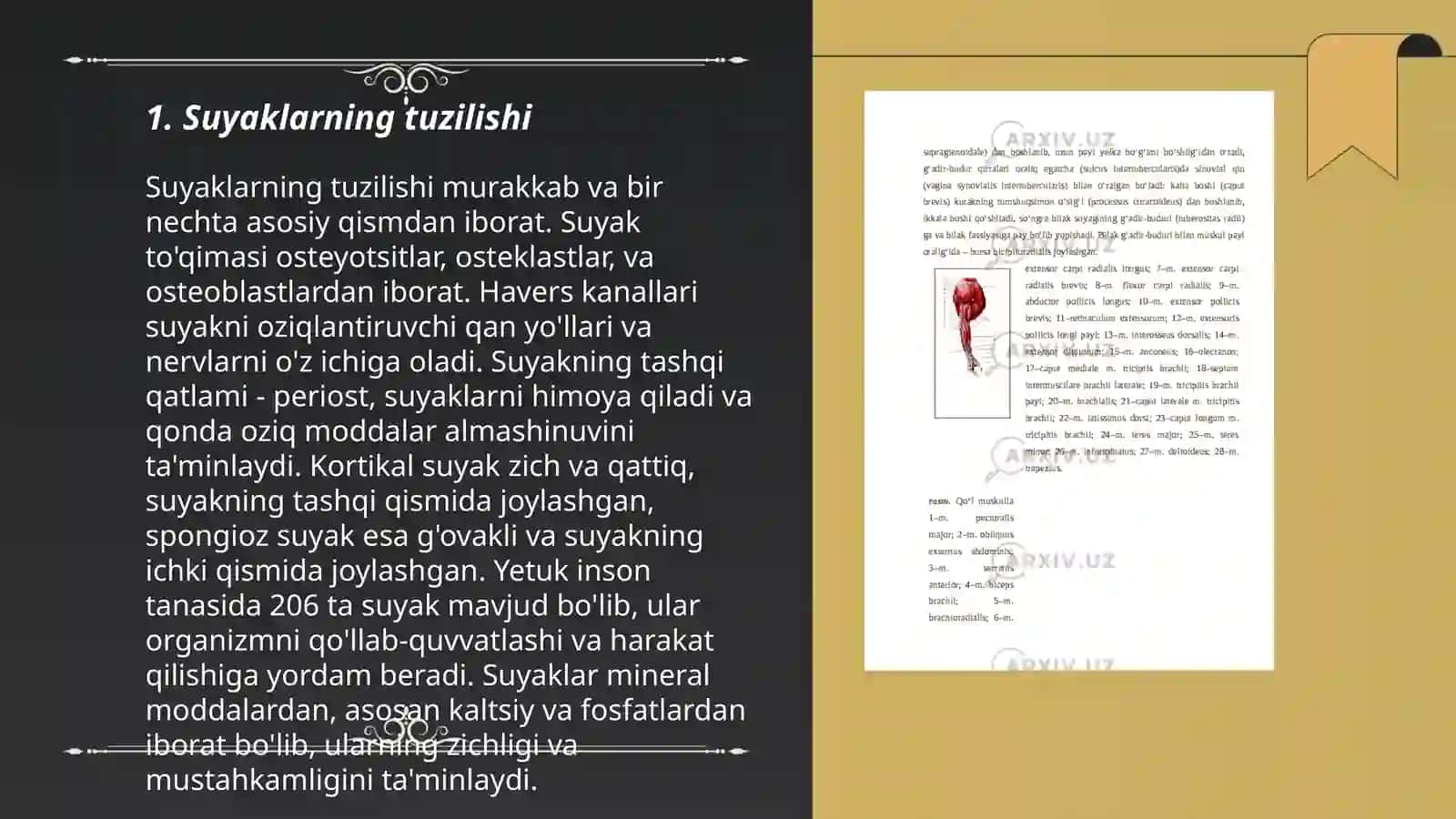 Kalla suyaklari tuzilishi 3