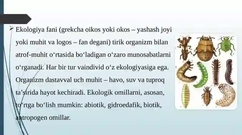 hasharotlar biologiyasi va ekologiyasi 3