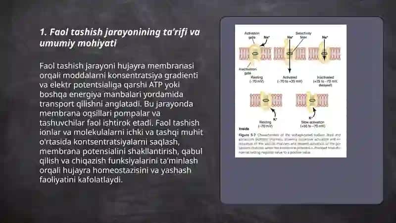 Faol tashish jarayoni va uning hujayraning yashashi uchun ahamiyati. 3