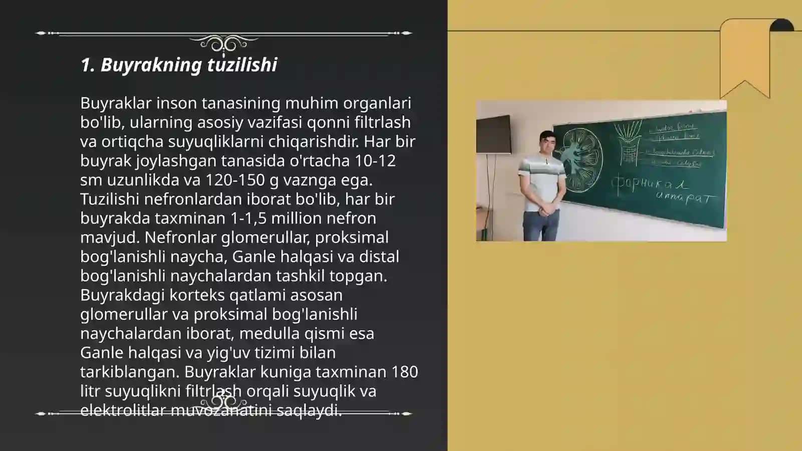 Buyrakning yukstaglomerulyar apparati sitofiziologiyasi 3