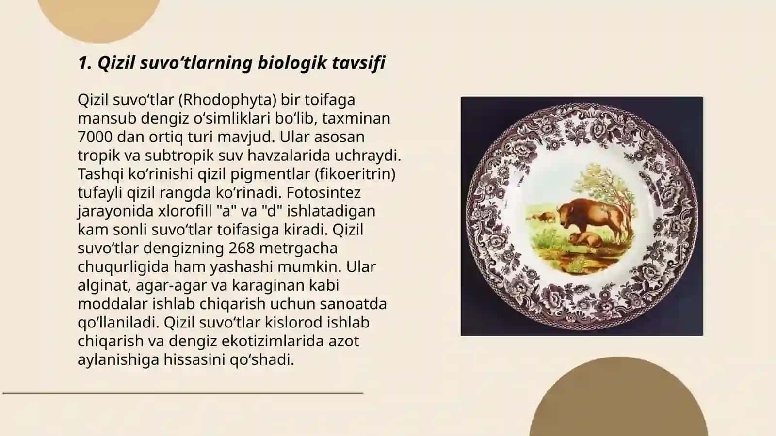 Qizil suvoʻtlar 3