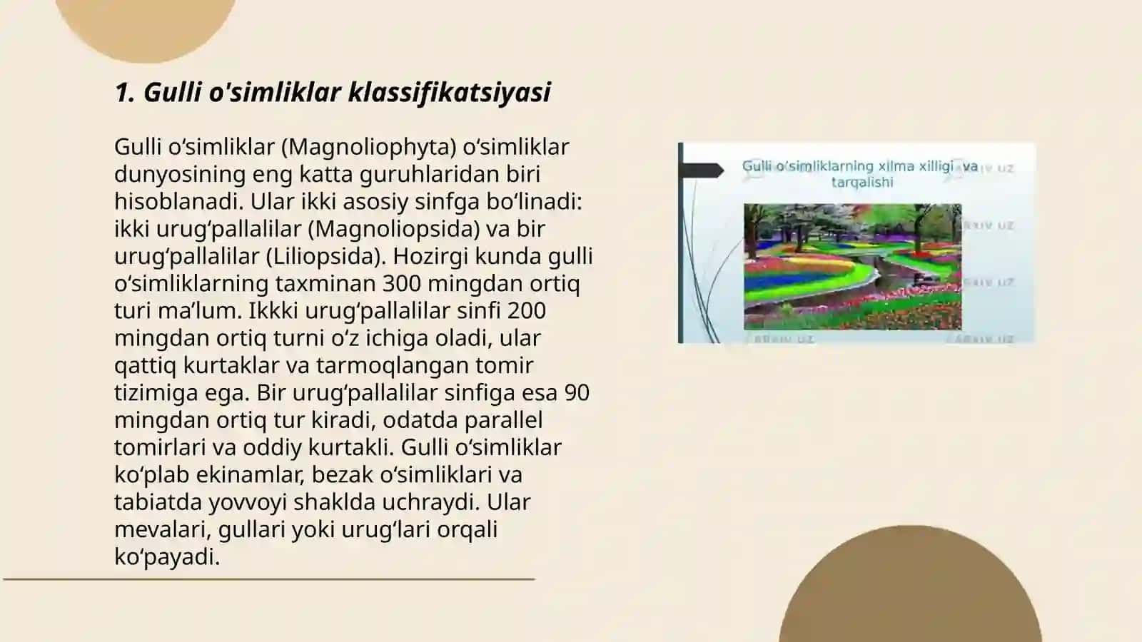 Gulli o'simliklarning xilma-xilligi va tarqalishi 3