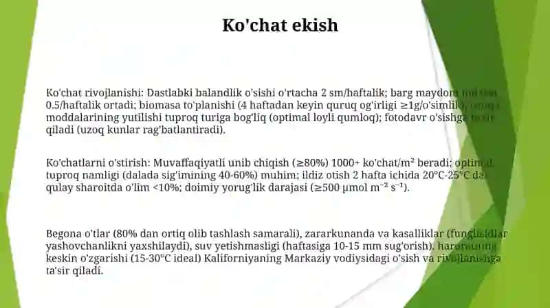 Urugʻ kurtakning rivojlanishi 3