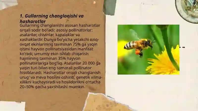 Hasharotlarning tabiatdagi ahamiyatlari 3