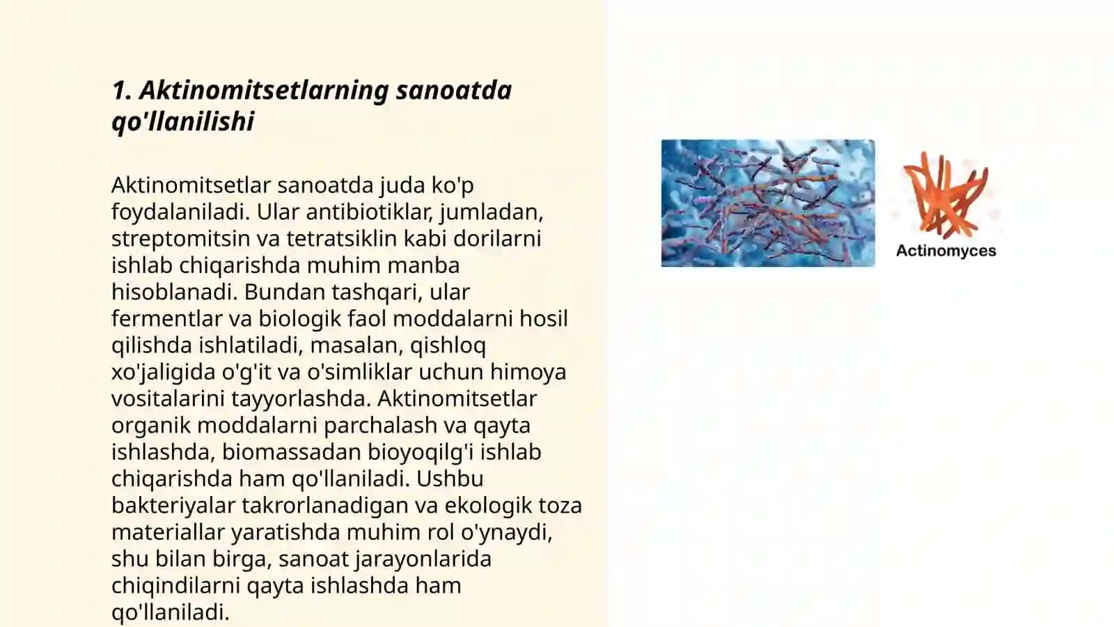 Aktinomitsetlarning sanoatda va qishloq xo'jaligidagi 3