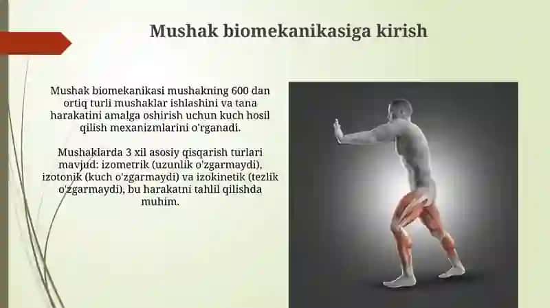Mushak Biomekanikasi 3
