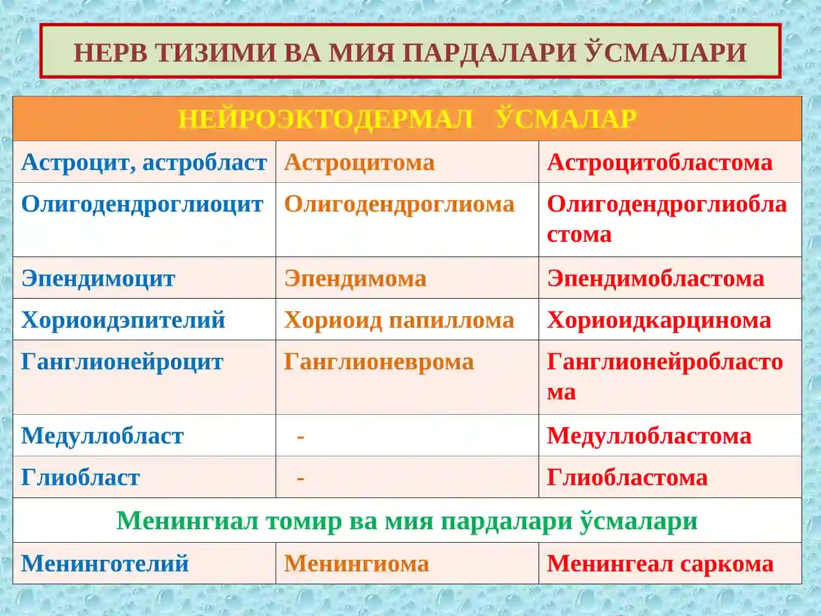 НЕРВ ТИЗИМИ ВА МИЯ ПАРДАЛАРИ ЎСМАЛАРИ 3