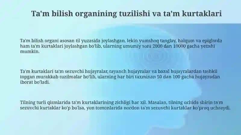 Ta'm bilish organining tuzilishi va fiziologiyasi 3