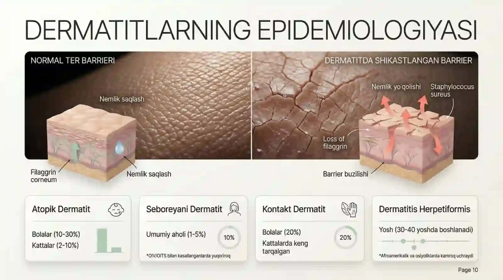 dermatitlar 3