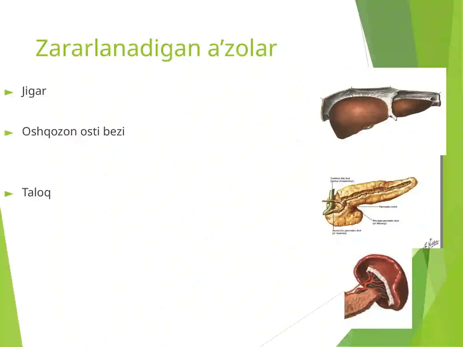 Qorin parda orti bo’shlig’I a’zolarining yopiq shikastlanishlari 3
