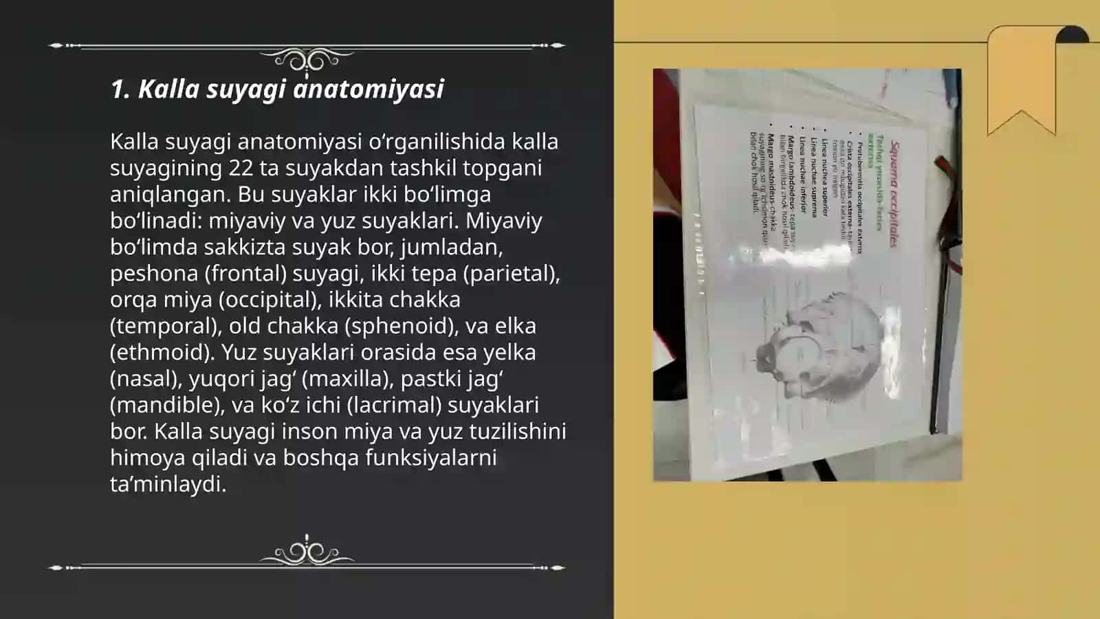 Kalla suyagi anatomiyasi 3