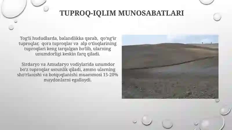Oʻzbekiston tuproqlari profilini chizish 3