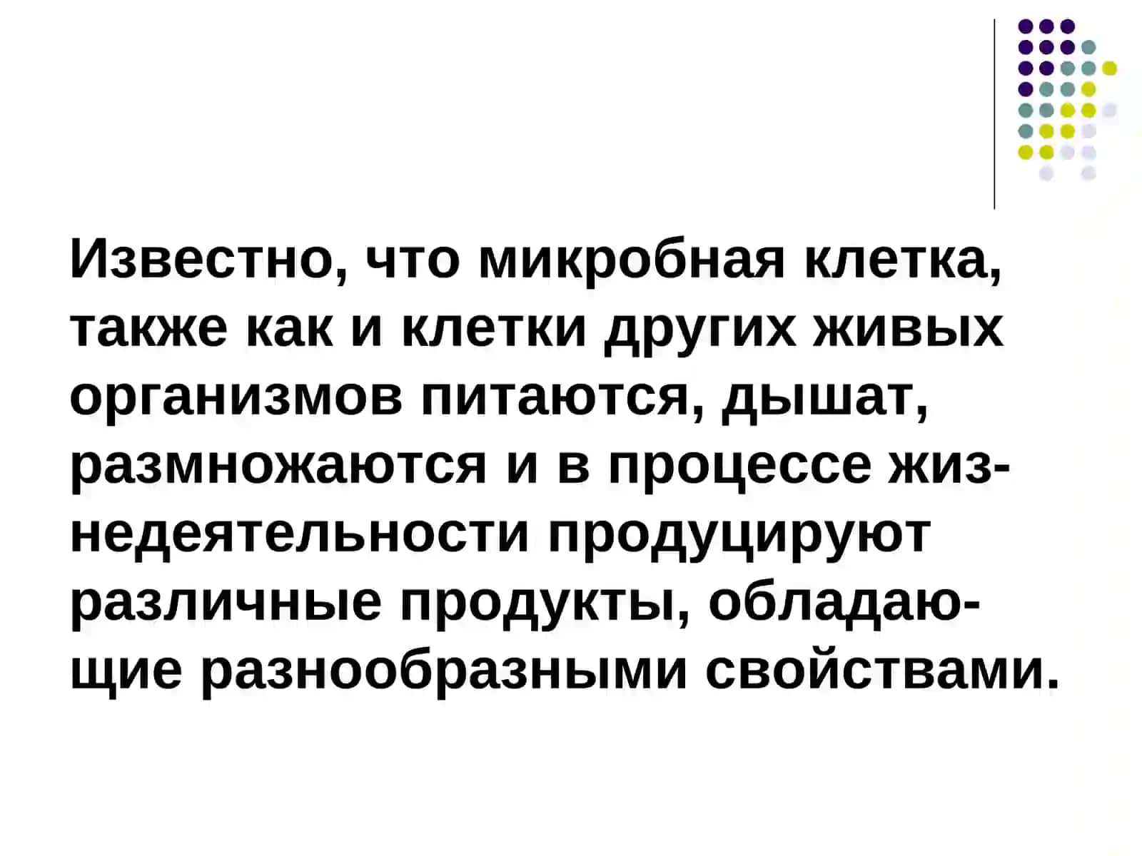 Физиология микроорганизмов 3