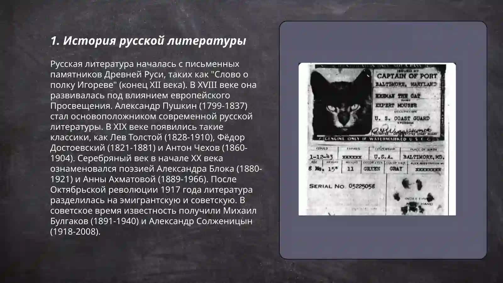 История русской литературы 3