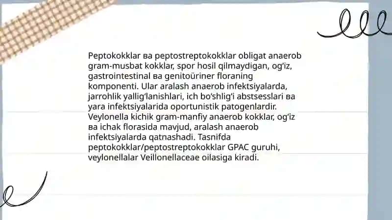 Shartli patogen anaerob kokklar (peptokokklar, peptostreptokokklar, veylonellalar) 3