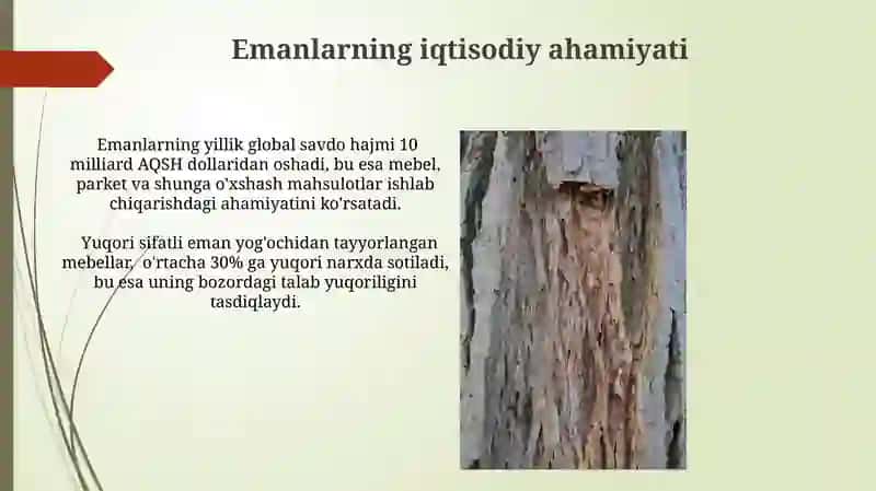 Emanlar. Xususiyatlari va turatlari 3