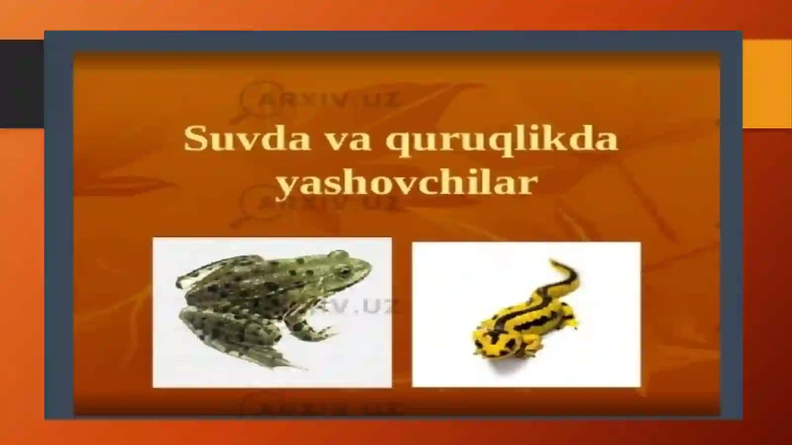 Suvda hamda quruqlikda yashovchilar sinfi 3