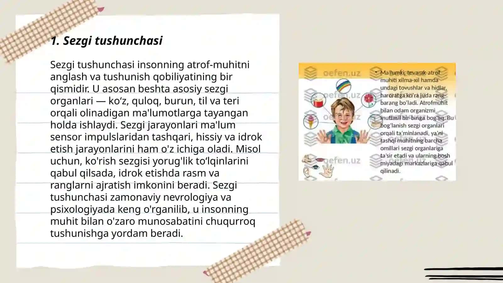 Sezilarning klassifikatsiyasi va sezgilarning o‘zgaruvchan shakllari 3