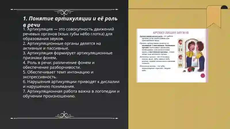 Понятие об артикуляции 3