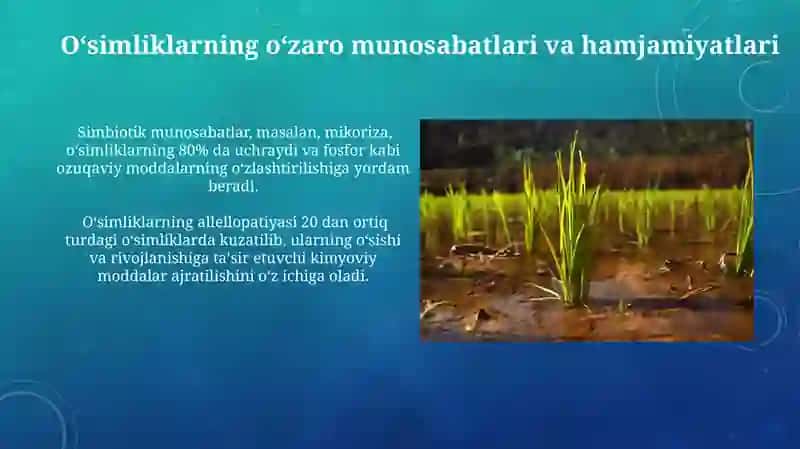 Oʻsimliklar ekologiyasi. Geobotanika va ularning qishloq xo'jaligidagi ahamiyati 3