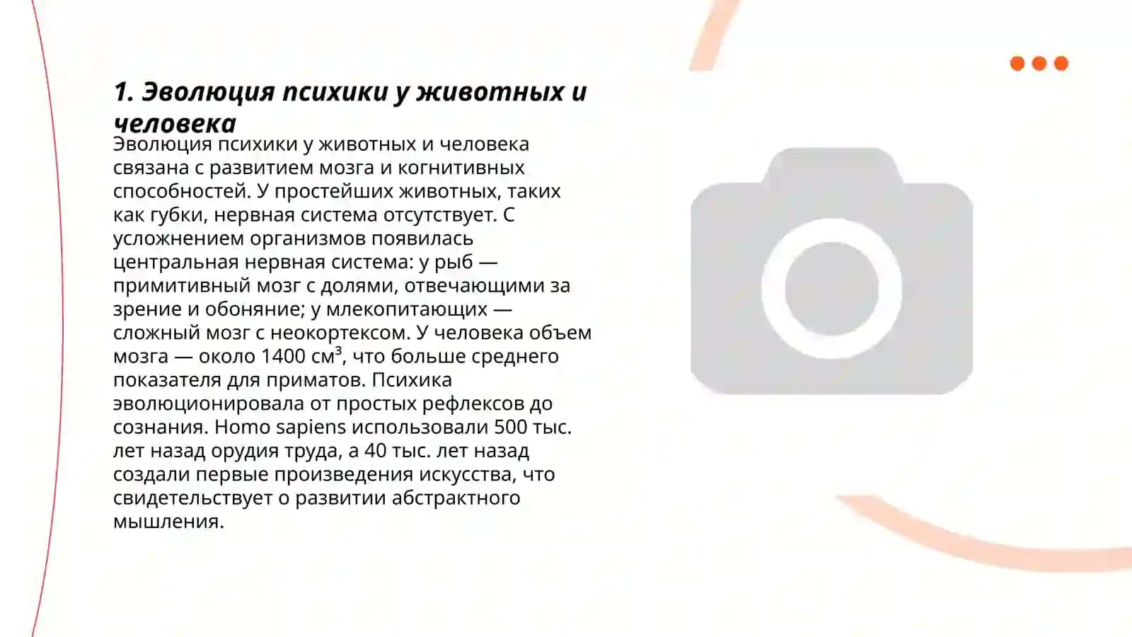 Сравнительный анализ психики животных и человека 3