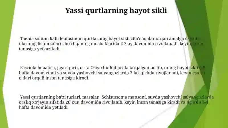 Yassi va Halqali chuvalchanglar.biologiyasi va ahamiyati 3