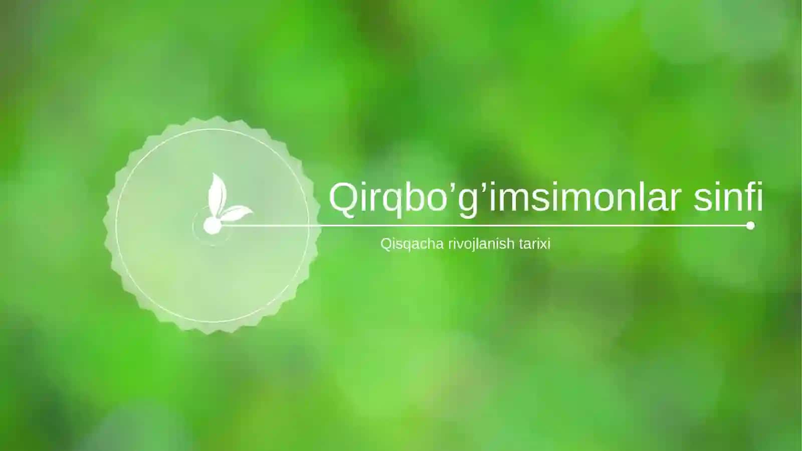 Qirqbo’g’imsimonlar sinfi 3