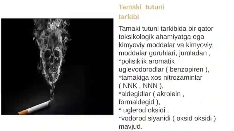 Tamakidagi benz(a)pirenni o'pkada neoplastik jarayonlar rivojlanishidagi ta'siri 3