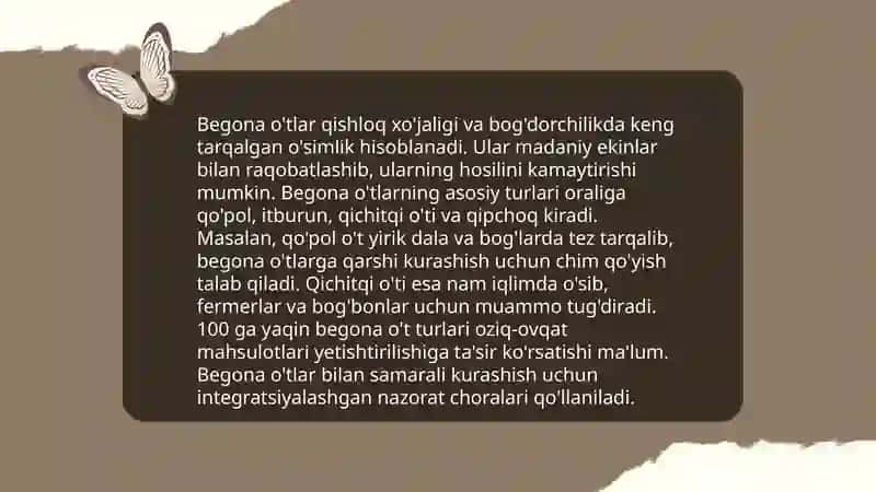 Sug'oriladigan yerlarda o'sadigan begona o'tlar 3