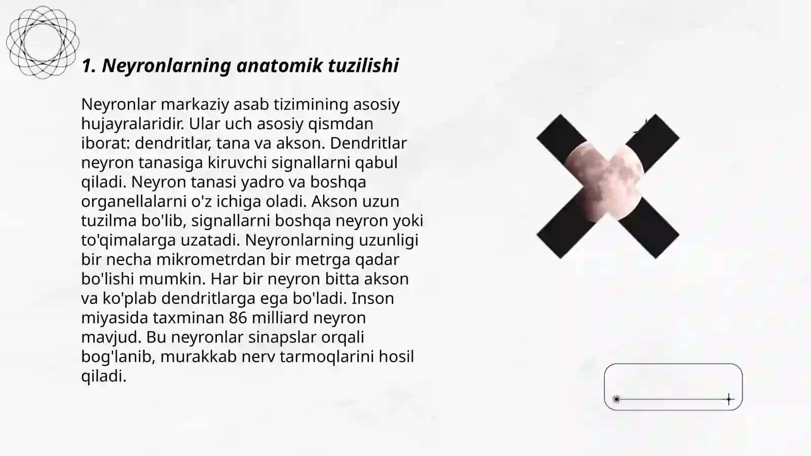 Psixikaning nerv fiziologik asoslari 3