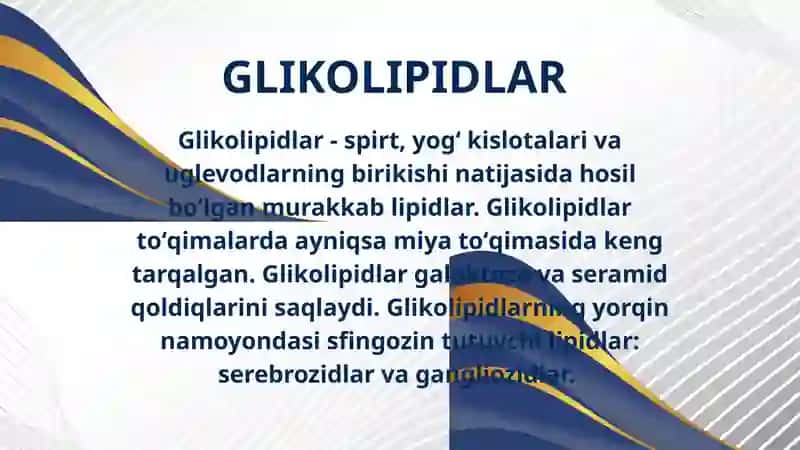 Nerv toʻqimasi glikolipidlari ahamiyati va ular bilan bogʻliq kasalliklar 3