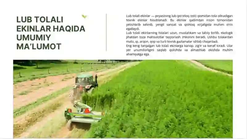 Lub tolali ekinlar ahamiyati, kanop biologiyasi va yetishtirish texnologiyasi 3