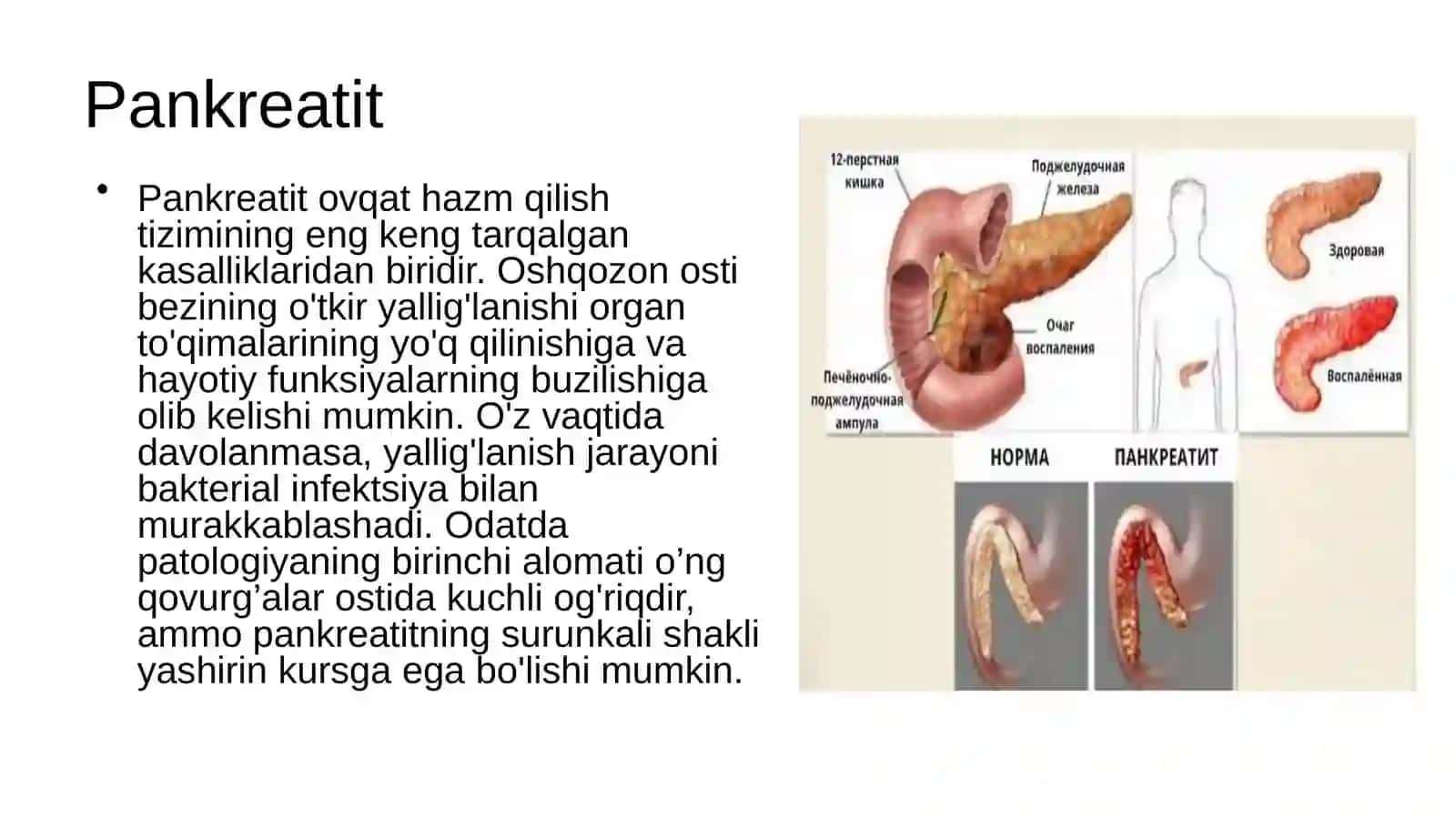 Oshqozon-ichak tizimi biokimyosi 3