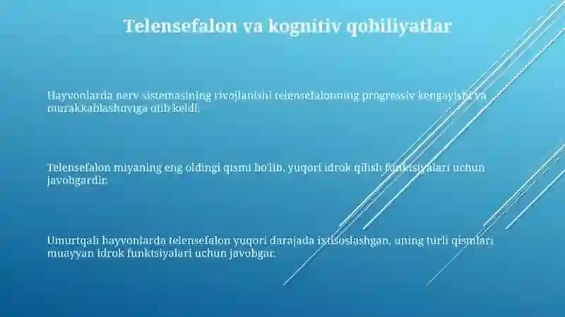 Hayvonlarda asab tizimining rivojlanishi va umurtqali hayvonlarda telensefalonning rivojlanishi 3
