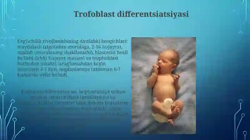 Proembrional rivojlanishning umumiy qonuniyatlari 3